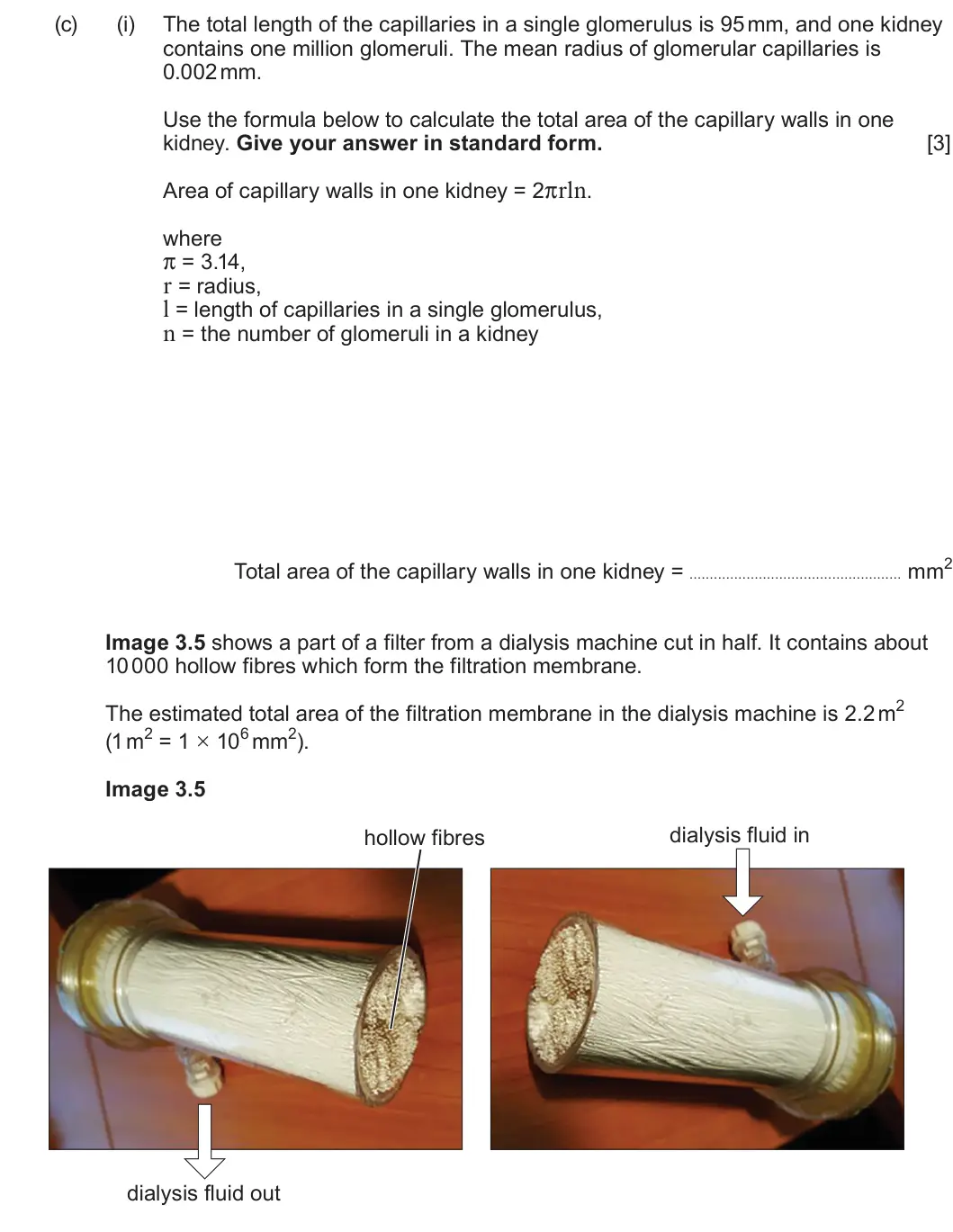 Summer 2025 Unit 3, question 3(c)(i): The total length of the capillaries in a single glomerulus is 95 mm, and one kidney contains one million glomeruli. The mean radius of glomerular capillaries is