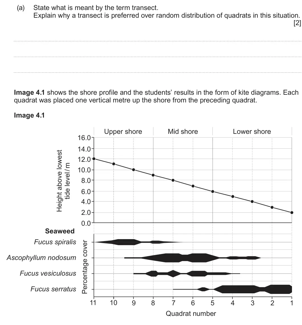 Summer 2025 Unit 3, question 4(a): State what is meant by the term transect. Explain why a transect is preferred over random distribution of quadrats in this situation. [2] Image 4.1 shows the sh