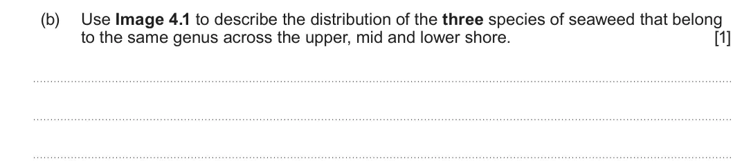 Summer 2025 Unit 3, question 4(b): Use Image 4.1 to describe the distribution of the three species of seaweed that belong to the same genus across the upper, mid and lower shore. [1]
