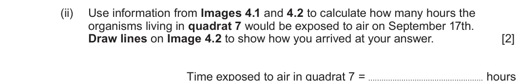 Summer 2025 Unit 3, question 4(c)(ii): Use information from Images 4.1 and 4.2 to calculate how many hours the organisms living in quadrat 7 would be exposed to air on September 17th. Draw lines on I