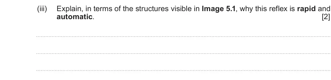 Summer 2025 Unit 3, question 5(a)(iii): Explain, in terms of the structures visible in Image 5.1, why this reflex is rapid and automatic. [2]