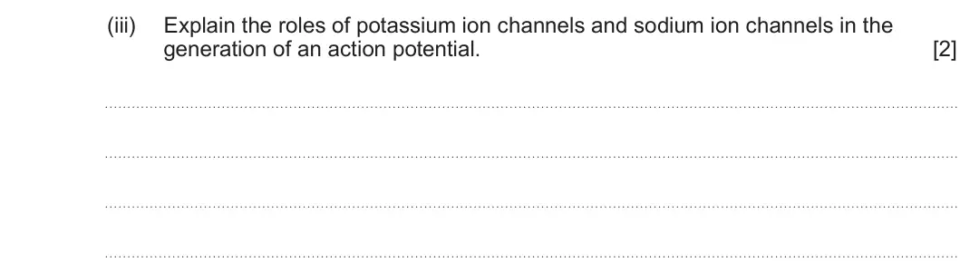 Summer 2025 Unit 3, question 5(b)(iii): Explain the roles of potassium ion channels and sodium ion channels in the generation of an action potential. [2]