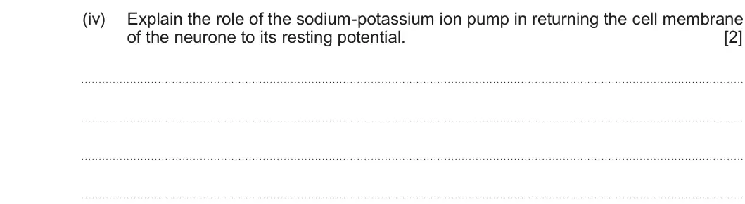 Summer 2025 Unit 3, question 5(b)(iv): Explain the role of the sodium-potassium ion pump in returning the cell membrane of the neurone to its resting potential. [2]