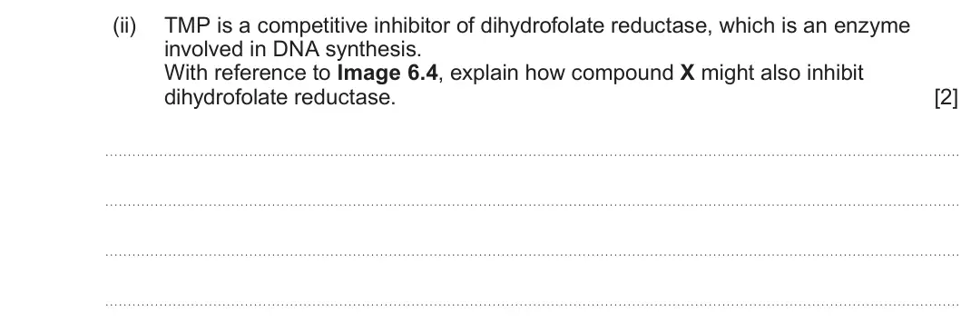 Summer 2025 Unit 3, question 6(c)(ii): TMP is a competitive inhibitor of dihydrofolate reductase, which is an enzyme involved in DNA synthesis. With reference to Image 6.4, explain how compound X mig