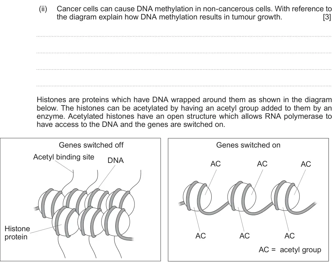 Summer 2019 Unit 4, question 4(b)(ii): Cancer cells can cause DNA methylation in non-cancerous cells. With reference to the diagram explain how DNA methylation results in tumour growth. [3] Histones 