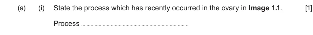 Summer 2022 Unit 4, question 1(a)(i): State the process which has recently occurred in the ovary in Image 1.1. [1] Process