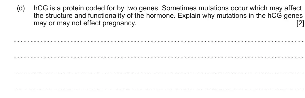 Summer 2022 Unit 4, question 2(d): hCG is a protein coded for by two genes. Sometimes mutations occur which may affect the structure and functionality of the hormone. Explain why mutations in the