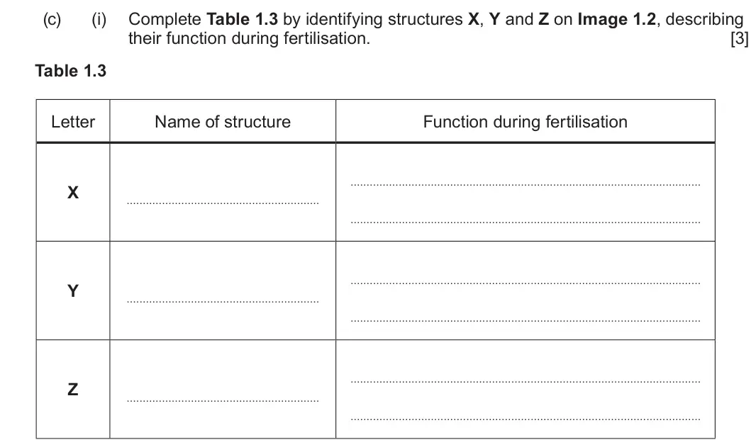 Summer 2023 Unit 4, question 1(c)(i): Complete Table 1.3 by identifying structures X, Y and Z on Image 1.2, describing their function during fertilisation. [3] Table 1.3 Letter Name of structure Fun
