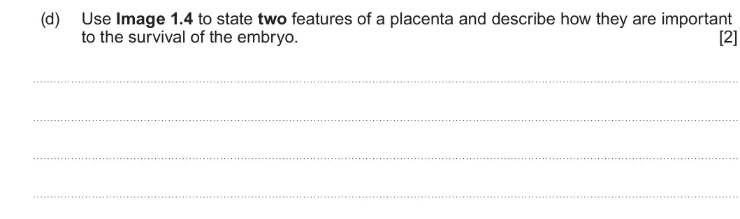 Summer 2023 Unit 4, question 1(d): Use Image 1.4 to state two features of a placenta and describe how they are important to the survival of the embryo. [2]