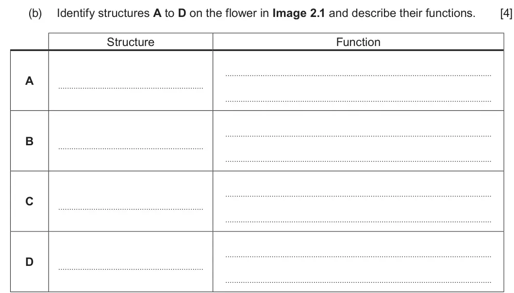 Summer 2023 Unit 4, question 2(b): Identify structures A to D on the flower in Image 2.1 and describe their functions. [4] Structure Function A B C D