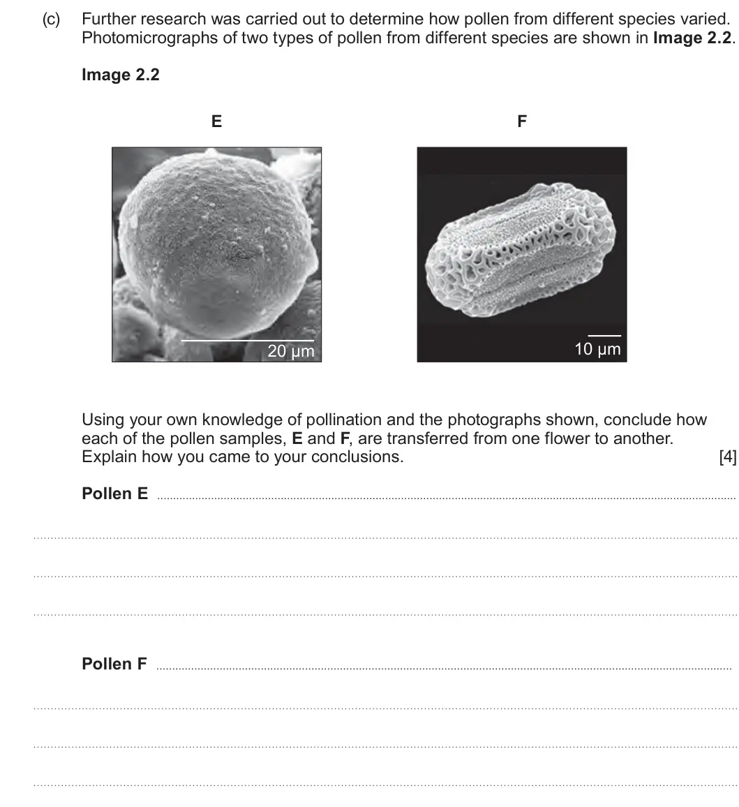 Summer 2023 Unit 4, question 2(c): Further research was carried out to determine how pollen from different species varied. Photomicrographs of two types of pollen from different species are shown