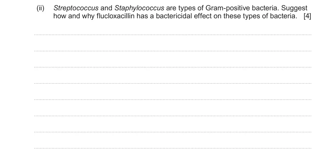 Summer 2023 Unit 4, question 7(a)(ii): Streptococcus and Staphylococcus are types of Gram-positive bacteria. Suggest how and why flucloxacillin has a bactericidal effect on these types of bacteria. [