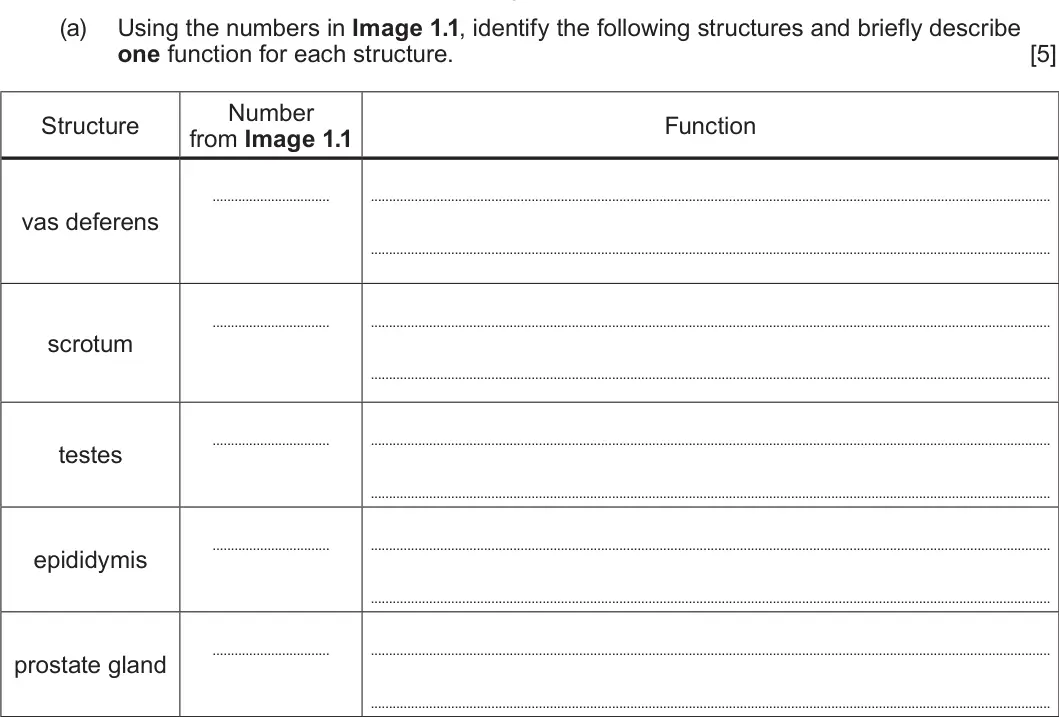 Summer 2024 Unit 4, question 1(a): Using the numbers in Image 1.1, identify the following structures and briefly describe one function for each structure. [5] Number Structure Function from Image
