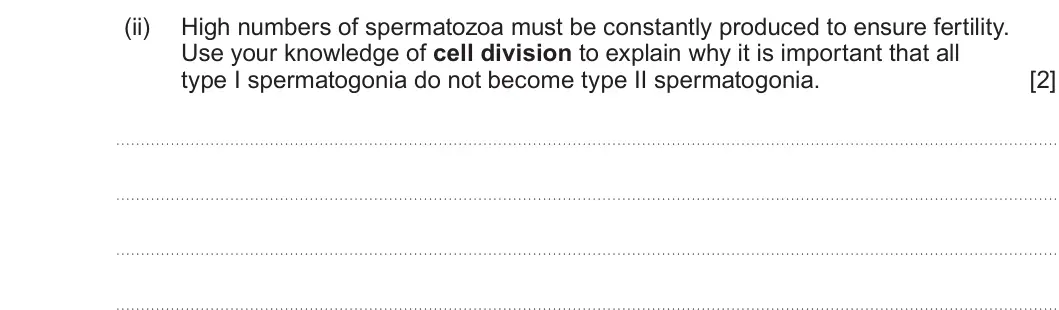Summer 2024 Unit 4, question 1(c)(ii): High numbers of spermatozoa must be constantly produced to ensure fertility. Use your knowledge of cell division to explain why it is important that all type I