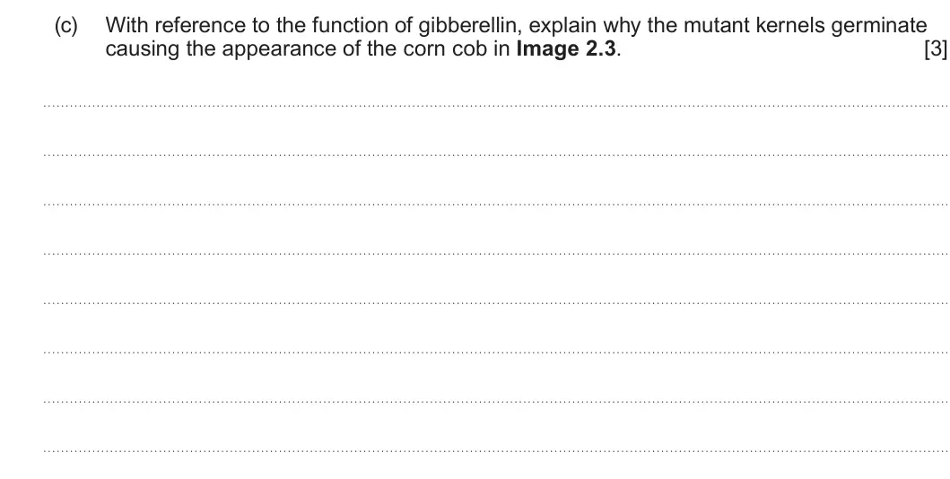 Summer 2024 Unit 4, question 2(c): With reference to the function of gibberellin, explain why the mutant kernels germinate causing the appearance of the corn cob in Image 2.3. [3]
