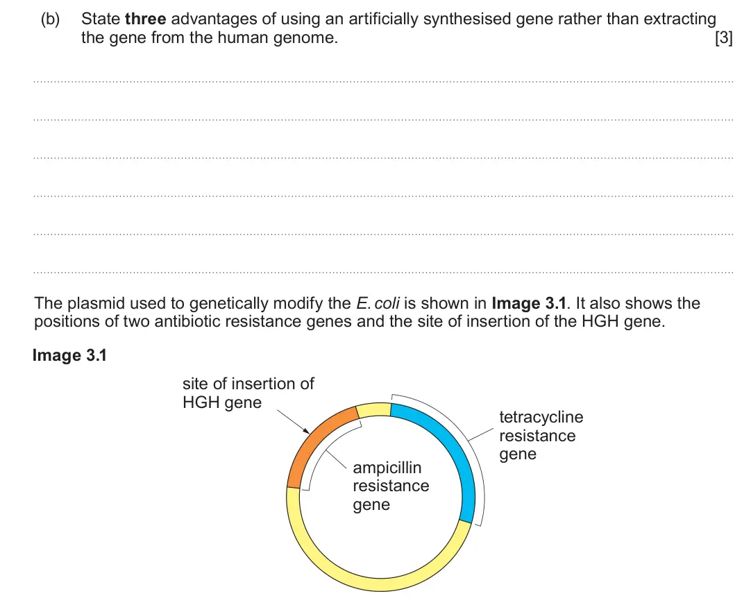 Summer 2024 Unit 4, question 3(b): State three advantages of using an artificially synthesised gene rather than extracting the gene from the human genome. [3] The plasmid used to genetically modi