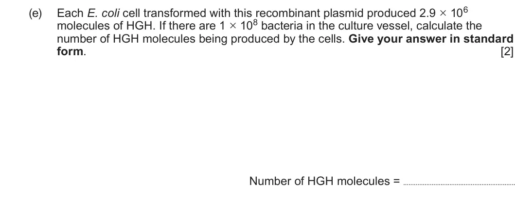 Summer 2024 Unit 4, question 3(e): molecules of HGH. If there are 1 × 108 bacteria in the culture vessel, calculate the number of HGH molecules being produced by the cells. Give your answer in st