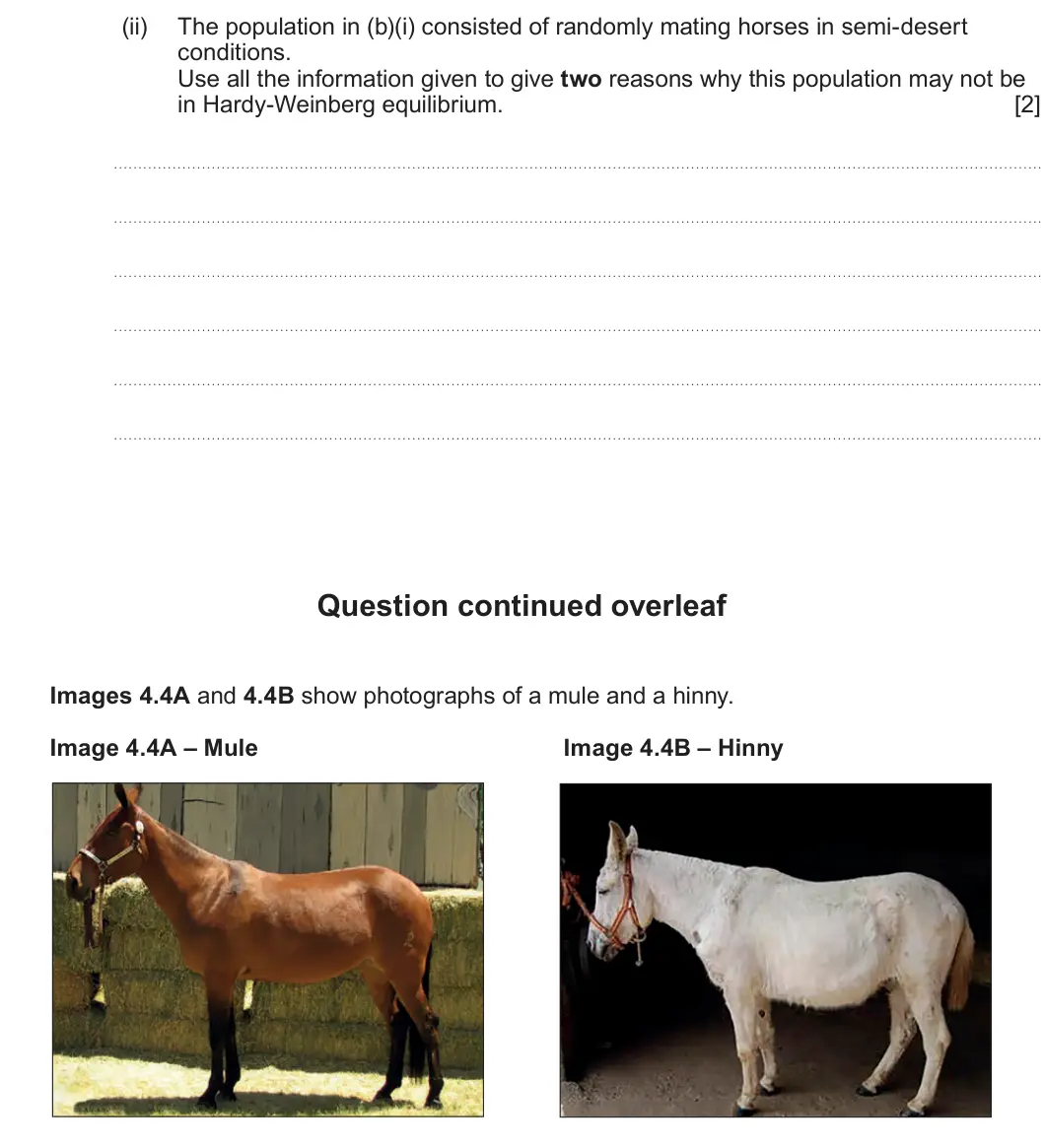 Summer 2024 Unit 4, question 4(b)(ii): The population in (b)(i) consisted of randomly mating horses in semi-desert conditions. Use all the information given to give two reasons why this population ma