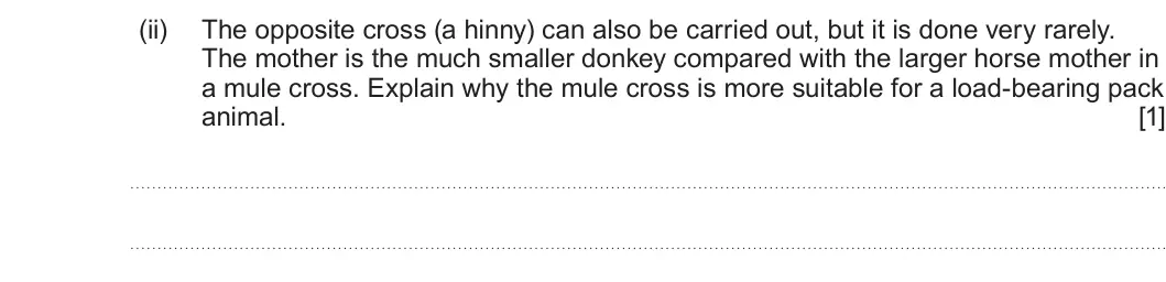 Summer 2024 Unit 4, question 4(c)(ii): The opposite cross (a hinny) can also be carried out, but it is done very rarely. The mother is the much smaller donkey compared with the larger horse mother in