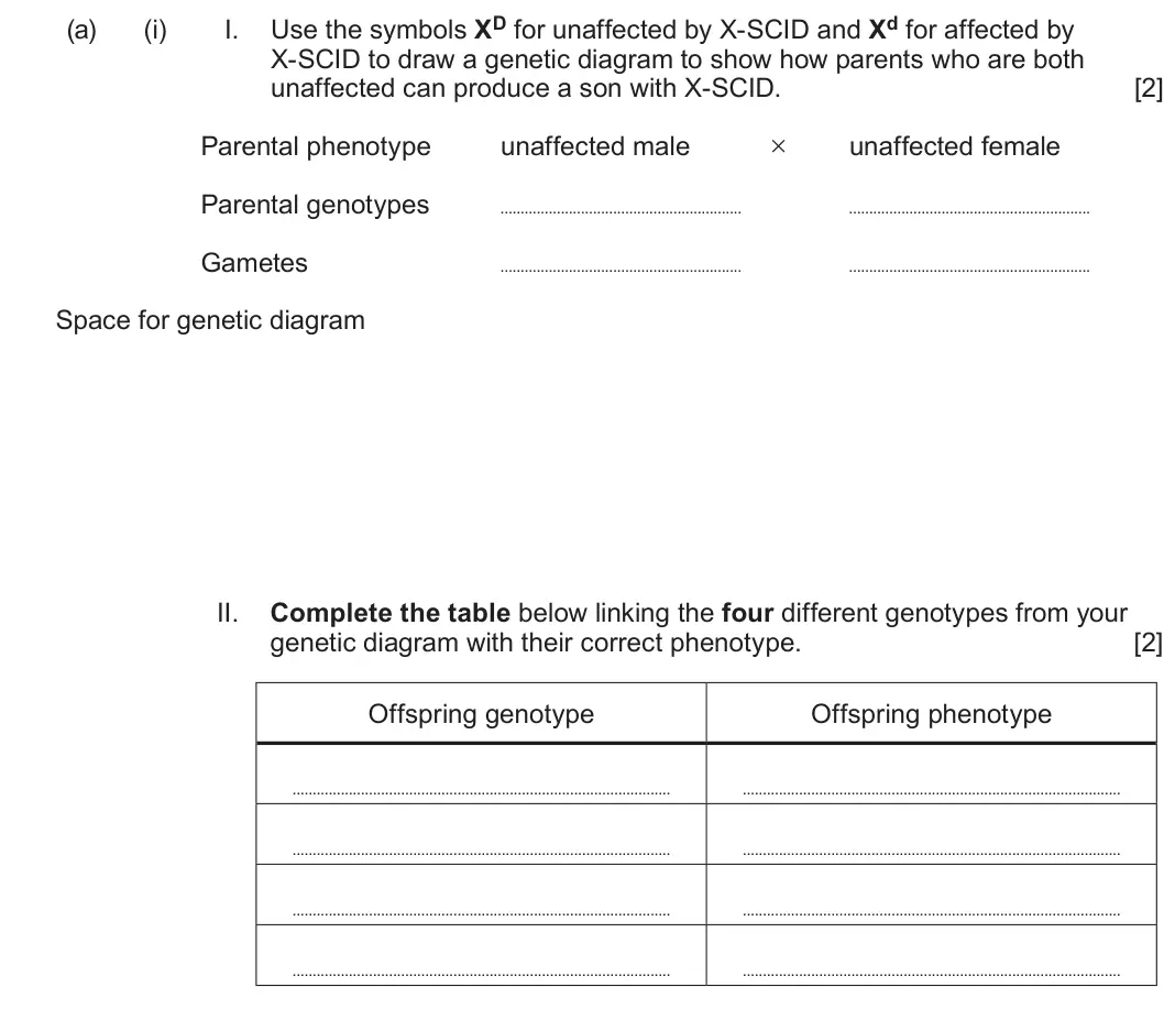 Summer 2024 Unit 4, question 5(a)(i): I. X-SCID to draw a genetic diagram to show how parents who are both unaffected can produce a son with X-SCID. [2] Parental phenotype unaffected male × unaffect