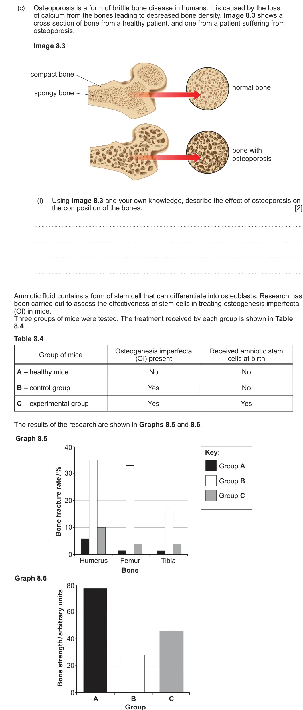 Summer 2024 Unit 4, question 8(c)(i): Using Image 8.3 and your own knowledge, describe the effect of osteoporosis on the composition of the bones. [2] Amniotic fluid contains a form of stem cell tha