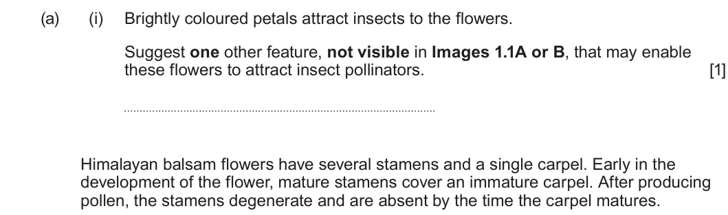 Summer 2025 Unit 4, question 1(a)(i): Brightly coloured petals attract insects to the flowers. Suggest one other feature, not visible in Images 1.1A or B, that may enable these flowers to attract in