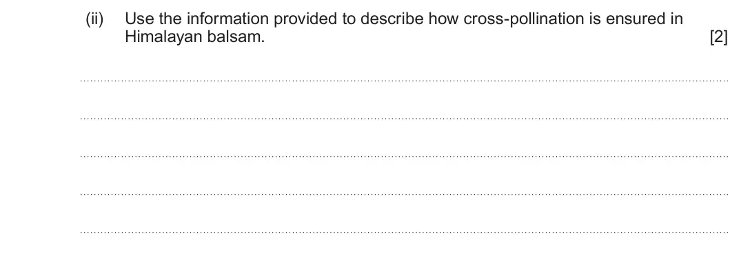 Summer 2025 Unit 4, question 1(a)(ii): Use the information provided to describe how cross-pollination is ensured in Himalayan balsam. [2]