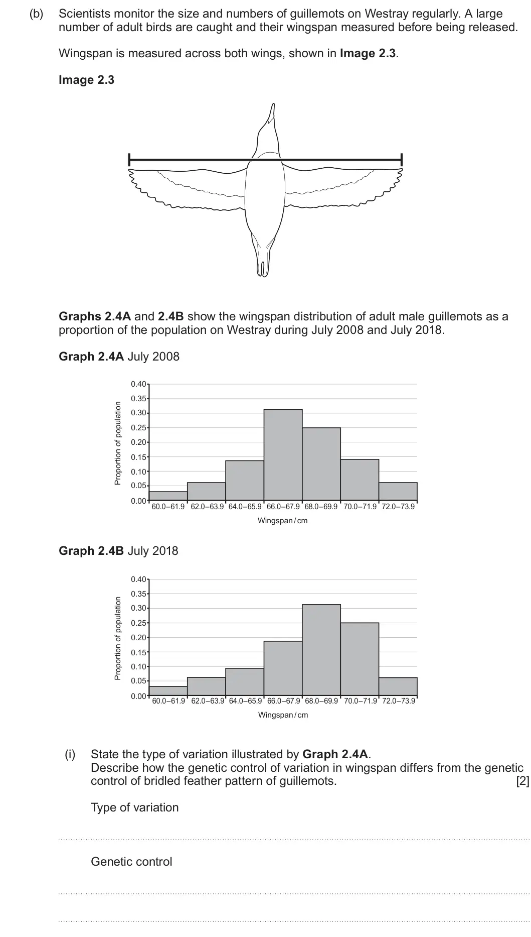 Summer 2025 Unit 4, question 2(b)(i): State the type of variation illustrated by Graph 2.4A. Describe how the genetic control of variation in wingspan differs from the genetic control of bridled fea