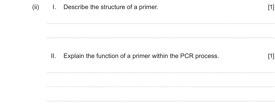 Summer 2025 Unit 4, question 3(b)(ii): I. Describe the structure of a primer. [1] II. Explain the function of a primer within the PCR process. [1]