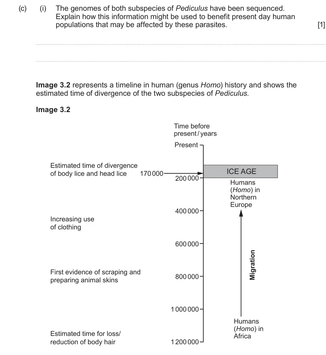 Summer 2025 Unit 4, question 3(c)(i): The genomes of both subspecies of Pediculus have been sequenced. Explain how this information might be used to benefit present day human populations that may be