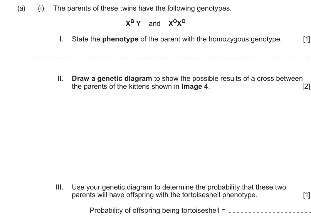 Summer 2025 Unit 4, question 4(a)(i): The parents of these twins have the following genotypes. XB Y and XOXO I. State the phenotype of the parent with the homozygous genotype. [1] II. Draw a genetic