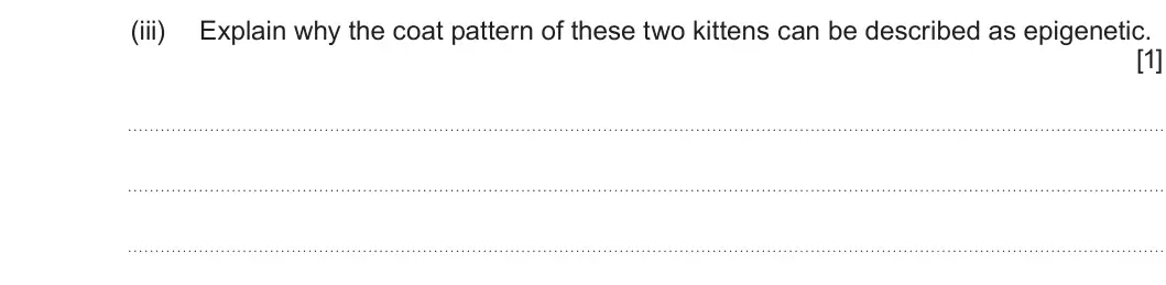 Summer 2025 Unit 4, question 4(b)(iii): Explain why the coat pattern of these two kittens can be described as epigenetic. [1]