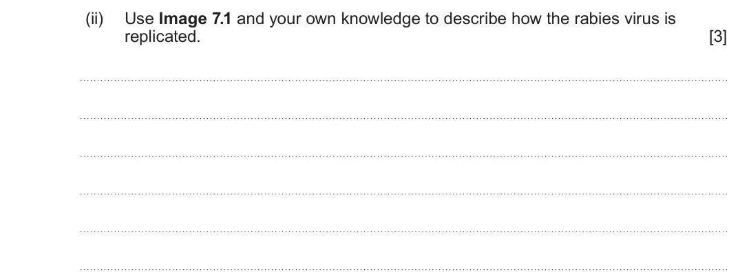 Summer 2025 Unit 4, question 7(a)(ii): Use Image 7.1 and your own knowledge to describe how the rabies virus is replicated. [3]
