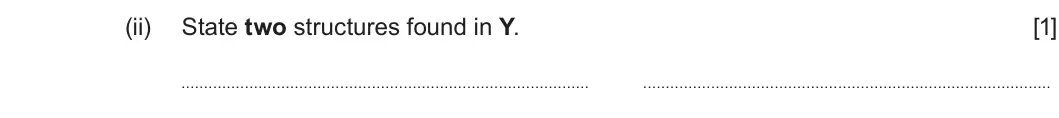 Summer 2025 Unit 4, question 8(a)(ii): State two structures found in Y. [1]