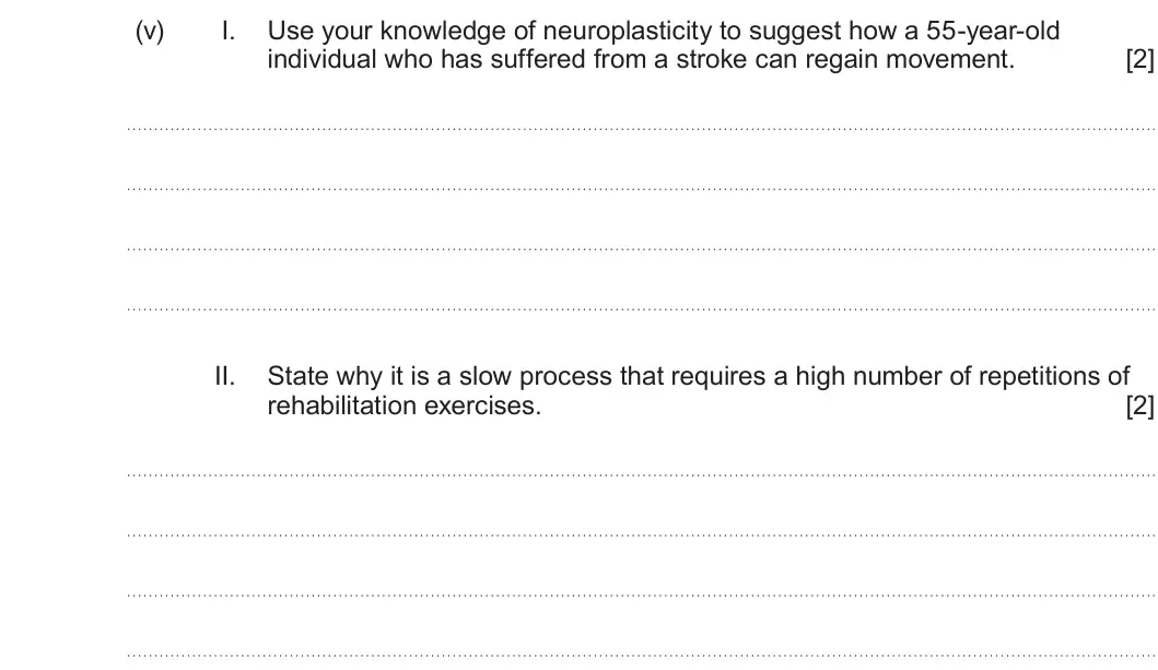 Summer 2025 Unit 4, question 9(a)(v): I. Use your knowledge of neuroplasticity to suggest how a 55-year-old individual who has suffered from a stroke can regain movement. [2] II. State why it is a s