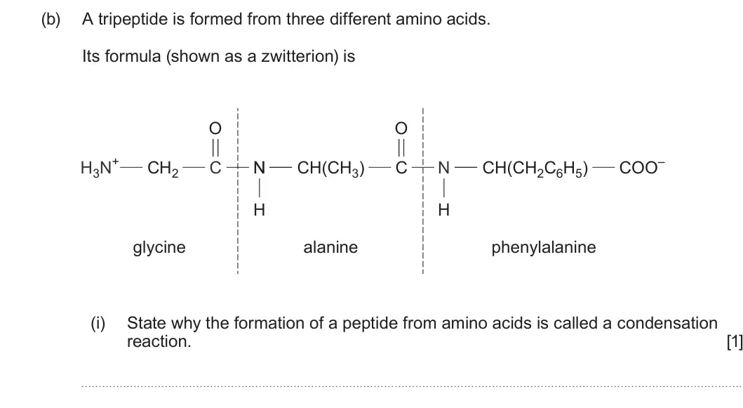 Summer 2024 Unit 4, question 11(b)(i): State why the formation of a peptide from amino acids is called a condensation reaction. [1]