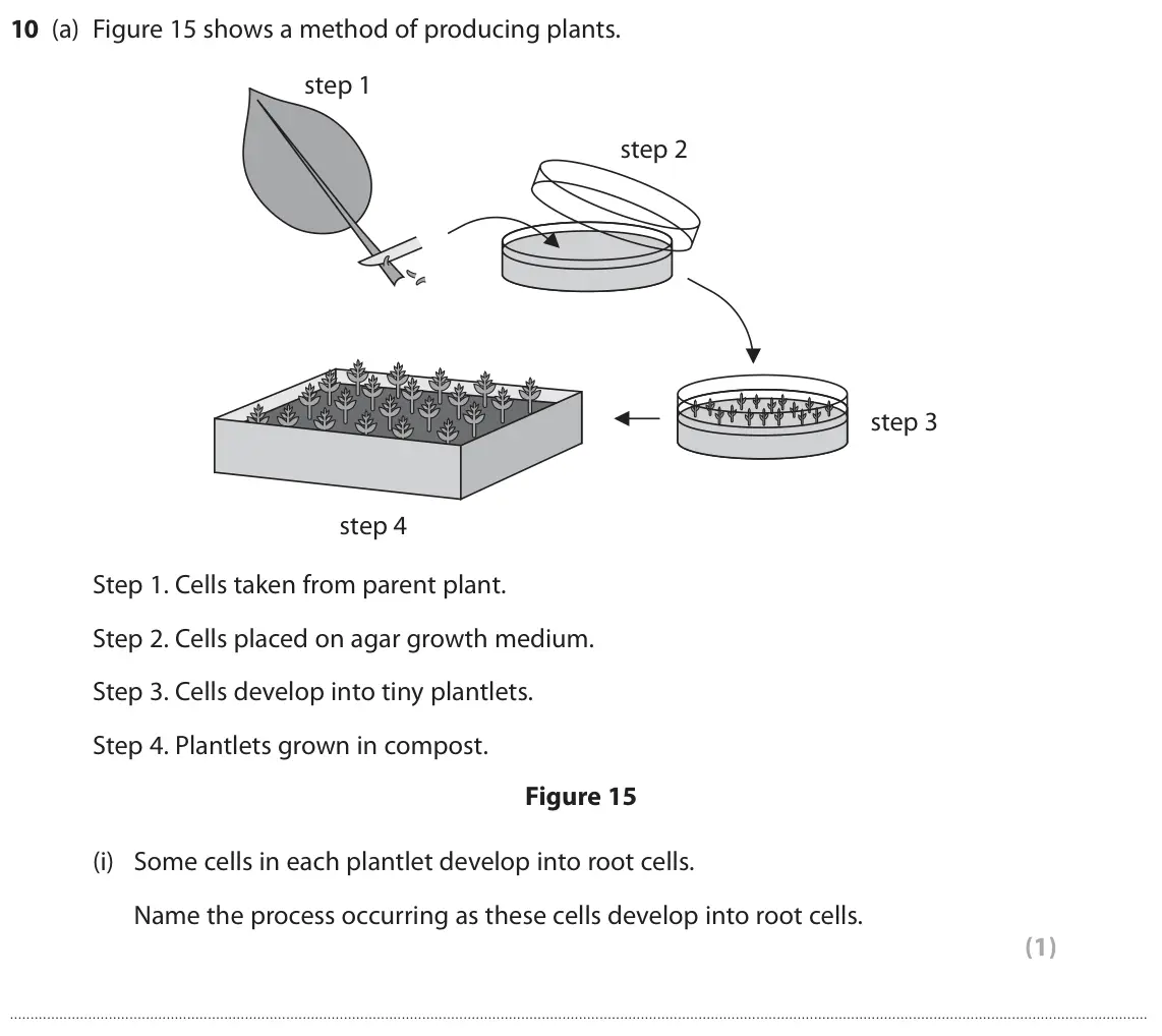 June 2018 Paper 1 Foundation, question 10(a)(i): Some cells in each plantlet develop into root cells. Name the process occurring as these cells develop into root cells. (1)