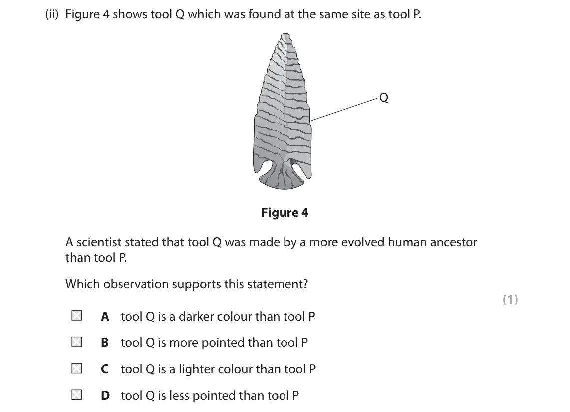 June 2022 Paper 1 Foundation, question 2(a)(ii): Figure 4 shows tool Q which was found at the same site as tool P. Q Figure 4 A scientist stated that tool Q was made by a more evolved human ancestor than tool 