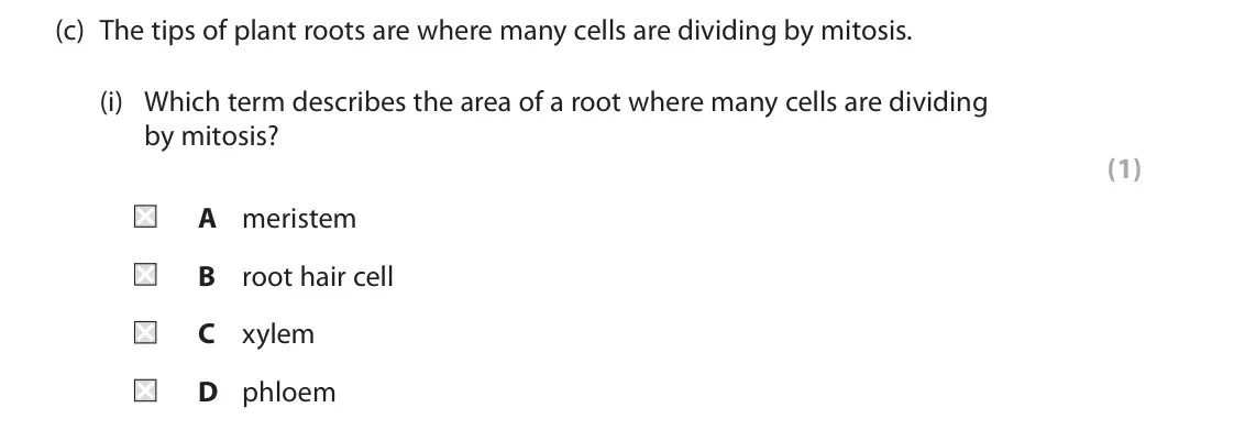 June 2022 Paper 1 Foundation, question 6(c)(i): Which term describes the area of a root where many cells are dividing by mitosis? (1) A meristem B root hair cell C xylem D phloem