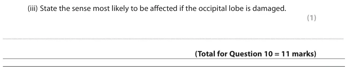 June 2022 Paper 1 Foundation, question 10(b)(iii): State the sense most likely to be affected if the occipital lobe is damaged. (1)