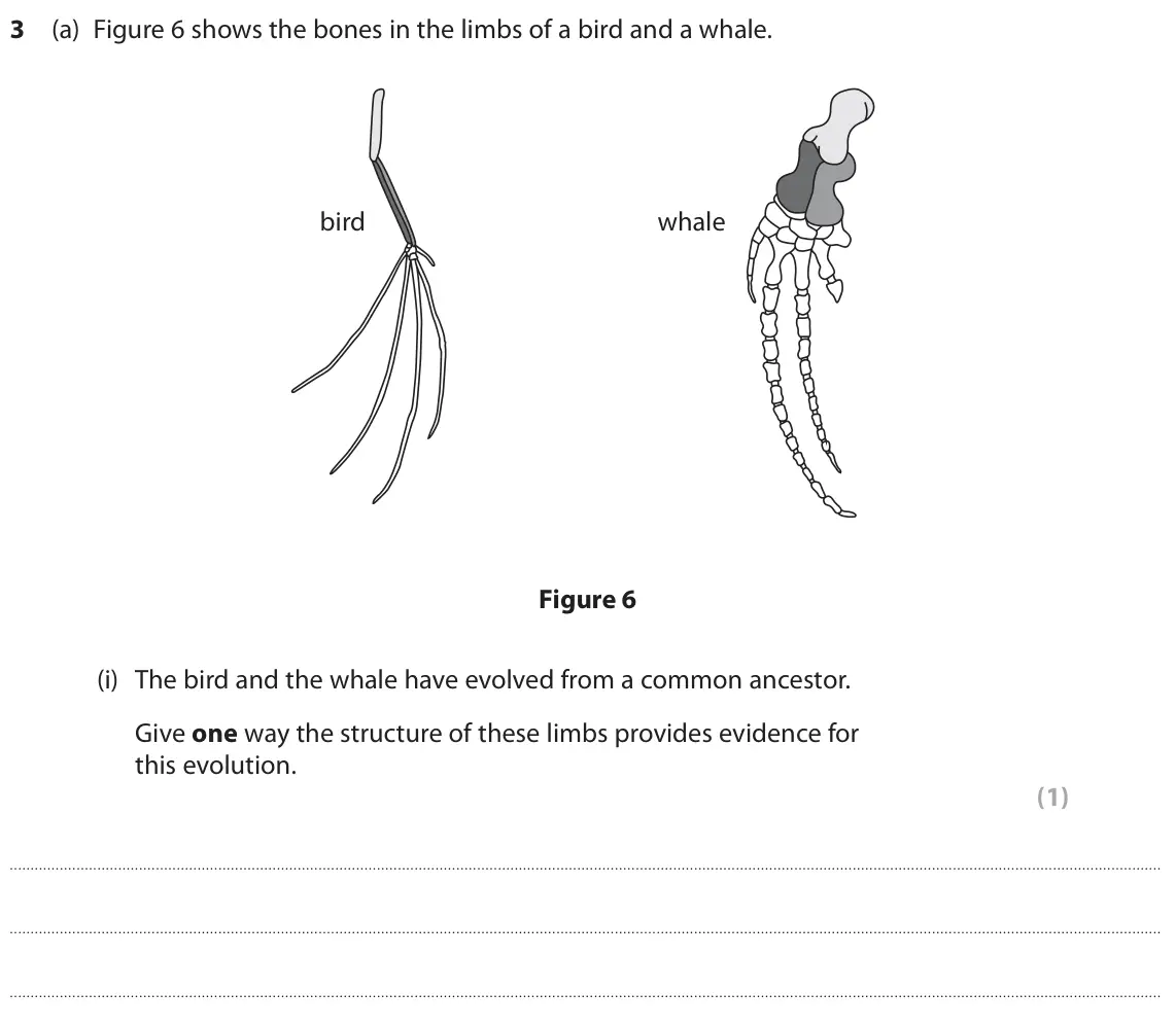 June 2023 Paper 1 Foundation, question 3(a)(i): The bird and the whale have evolved from a common ancestor. Give one way the structure of these limbs provides evidence for this evolution. (1)