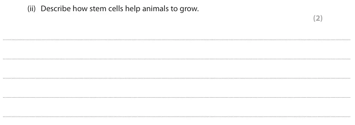 June 2023 Paper 1 Foundation, question 3(b)(ii): Describe how stem cells help animals to grow. (2)