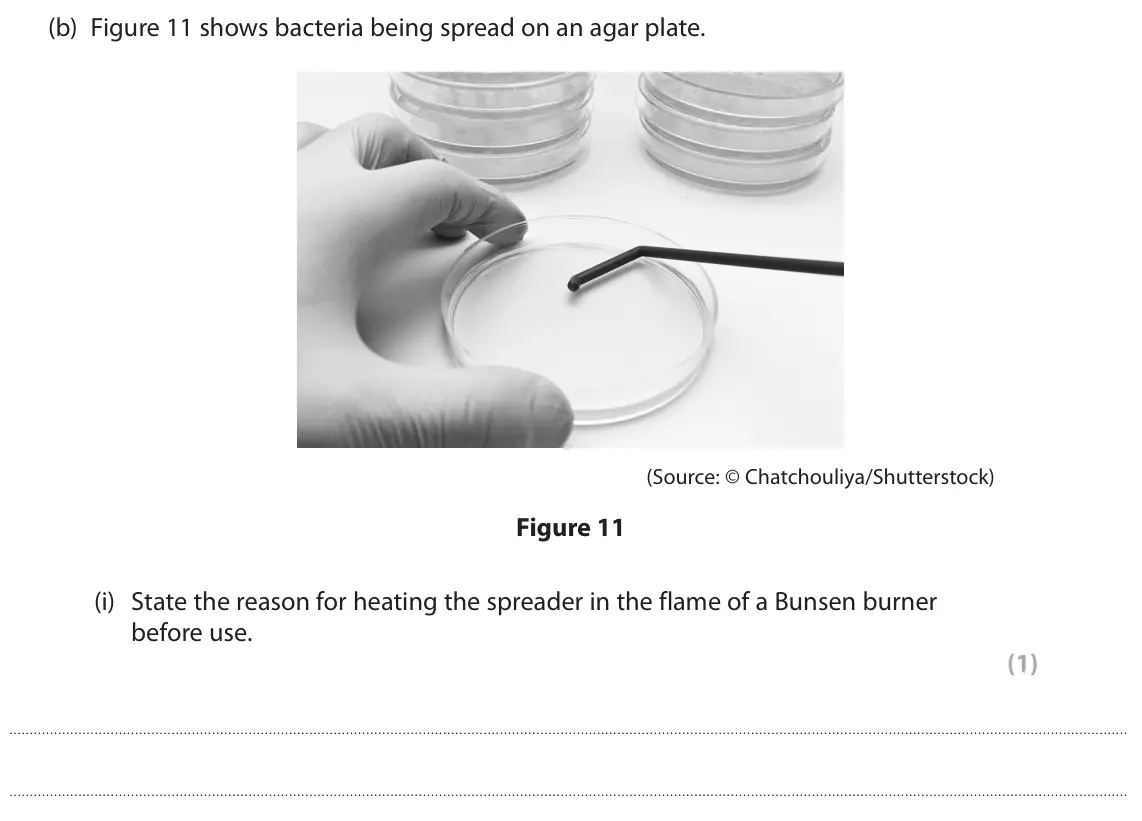 June 2023 Paper 1 Foundation, question 5(b)(i): State the reason for heating the spreader in the flame of a Bunsen burner before use. (1)