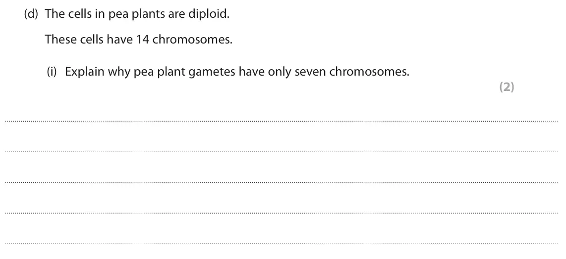 June 2023 Paper 1 Foundation, question 6(d)(i): Explain why pea plant gametes have only seven chromosomes. (2)