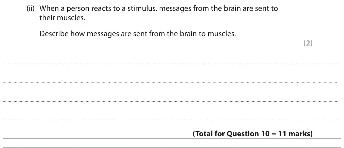 June 2023 Paper 1 Foundation, question 10(c)(ii): When a person reacts to a stimulus, messages from the brain are sent to their muscles. Describe how messages are sent from the brain to muscles. (2)
