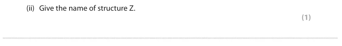 June 2024 Paper 1 Foundation, question 1(a)(ii): Give the name of structure Z. (1)