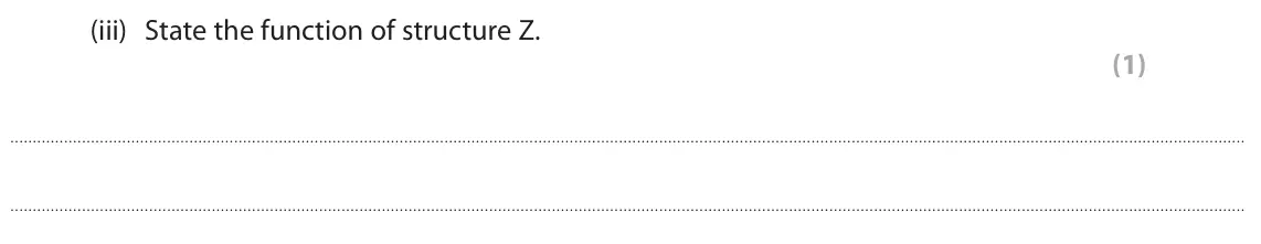 June 2024 Paper 1 Foundation, question 1(a)(iii): State the function of structure Z. (1)