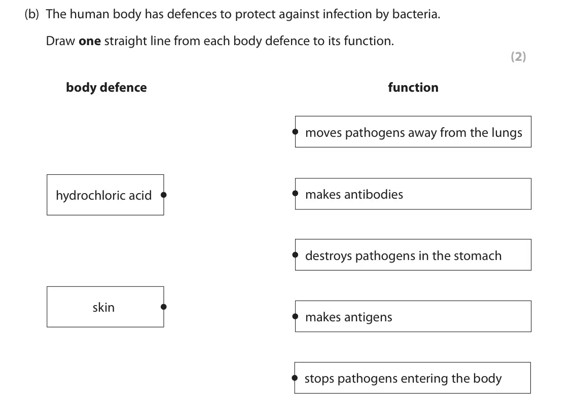 June 2024 Paper 1 Foundation, question 1(b): The human body has defences to protect against infection by bacteria. Draw one straight line from each body defence to its function. (2) body defence function m