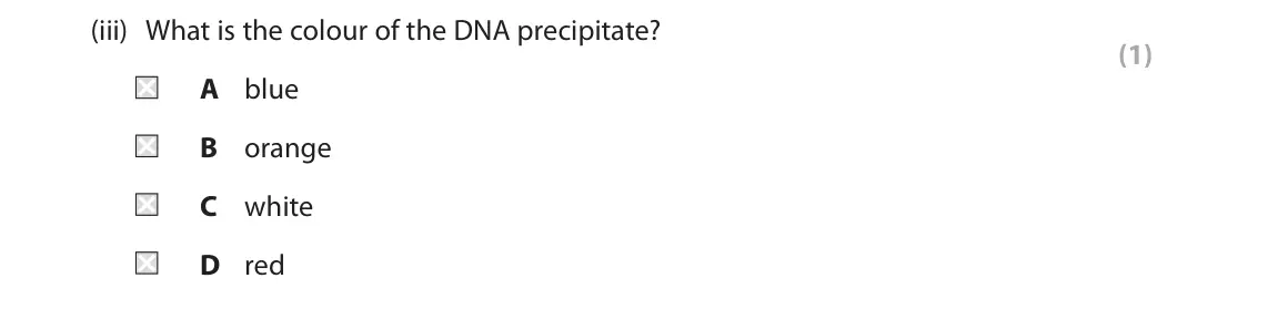 June 2024 Paper 1 Foundation, question 2(a)(iii): What is the colour of the DNA precipitate? (1) A blue B orange C white D red