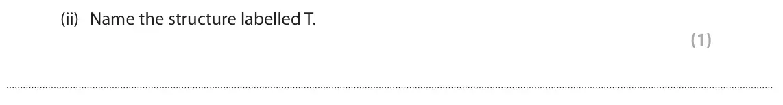 June 2024 Paper 1 Foundation, question 3(a)(ii): Name the structure labelled T. (1)